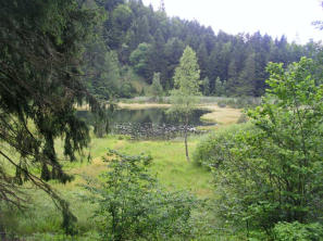 Le lac Luitel